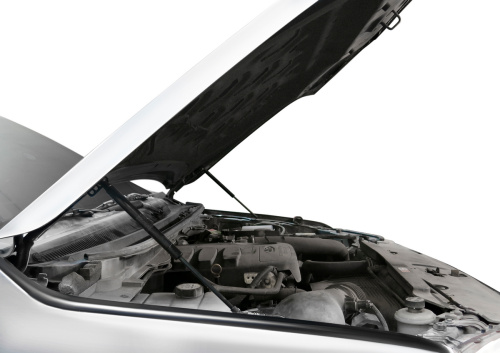 Амортизаторы капота Ford Ranger III (T6) 2011-2015  Пикап, АВТОУПОР Арт. UFDRAN011