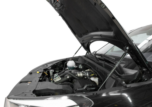 Амортизаторы капота Hyundai Tucson III (TL) 2015-2019 Внедорожник 5 дв. 36.5см/320N, АВТОУПОР Арт. UHYTUC011